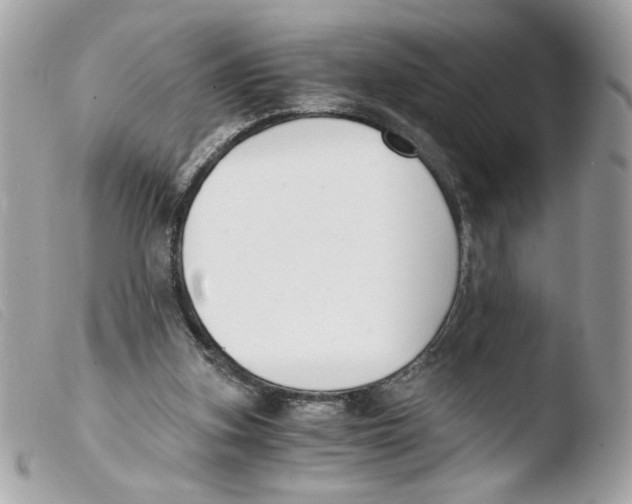 X0000103480155200810101007