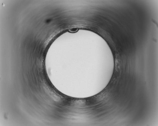 X0000103480156200810101007
