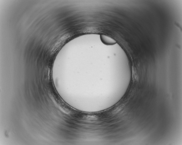 X0000103480157200810101007