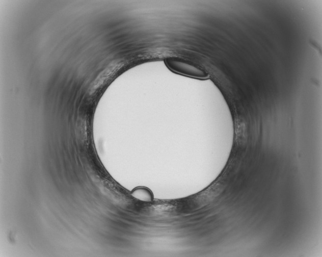 X0000103480158200810101007