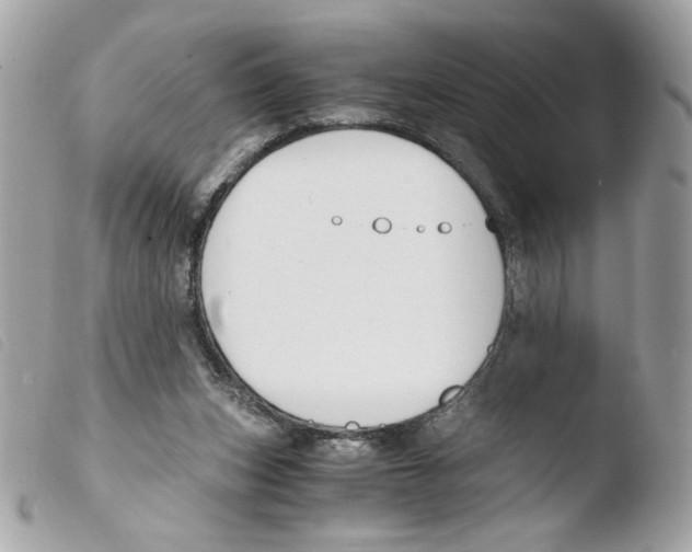 X0000103480159200810101007