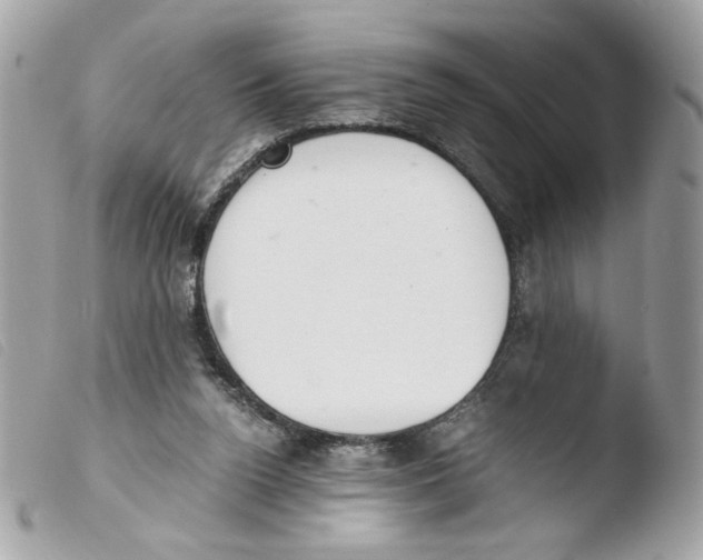 X0000103480160200810101007
