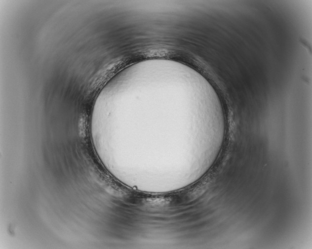 X0000103480161200810101007
