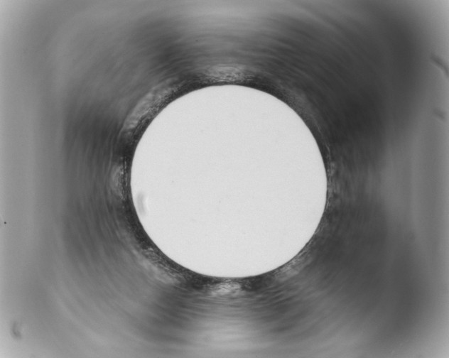 X0000103480162200810101007