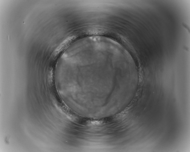 X0000103480163200810101007
