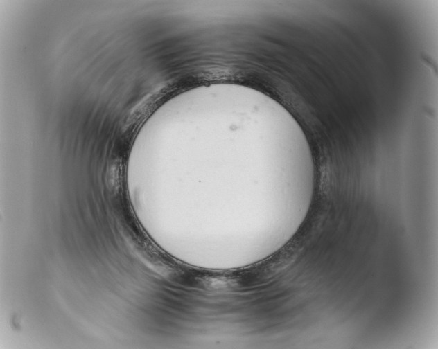 X0000103480165200810101007