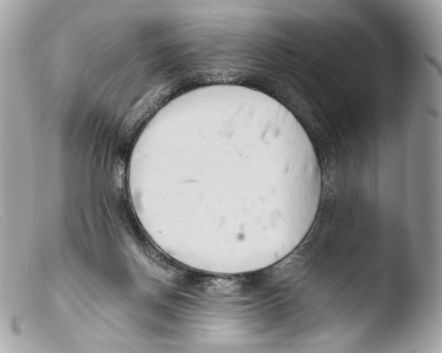 X0000103480166200810101007