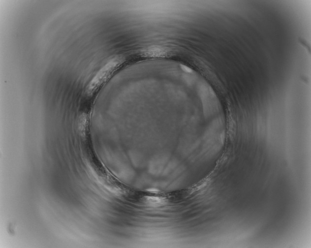 X0000103480167200810101007