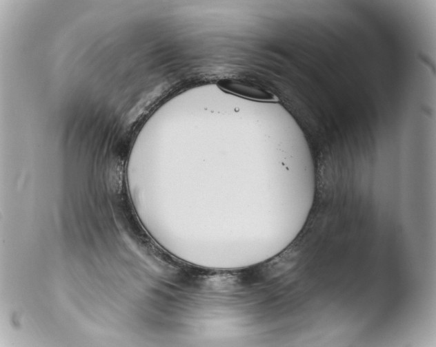 X0000103480168200810101007