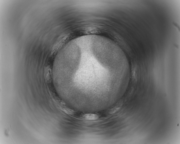 X0000103480169200810101007