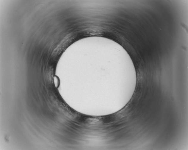 X0000103480170200810101007