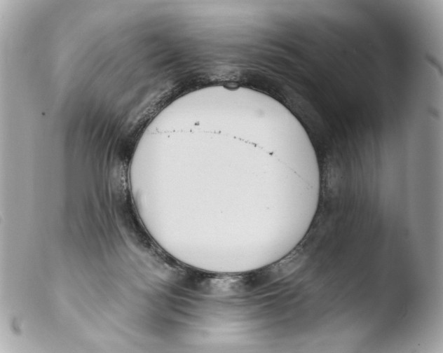 X0000103480172200810101007