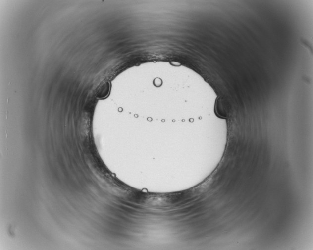 X0000103480174200810101007