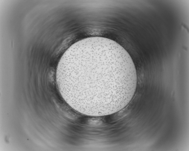 X0000103480175200810101007