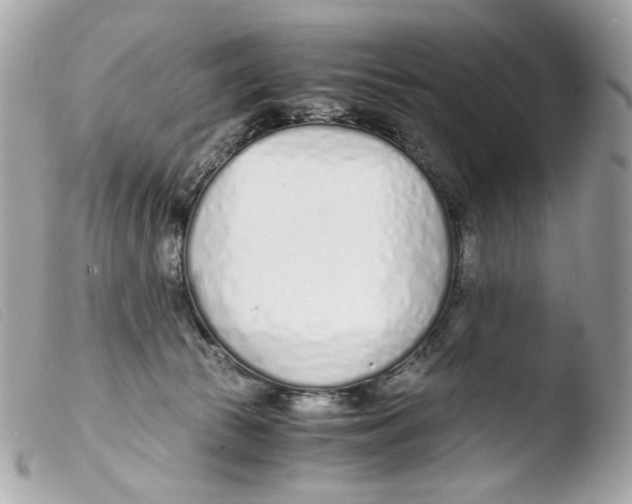 X0000103480177200810101008