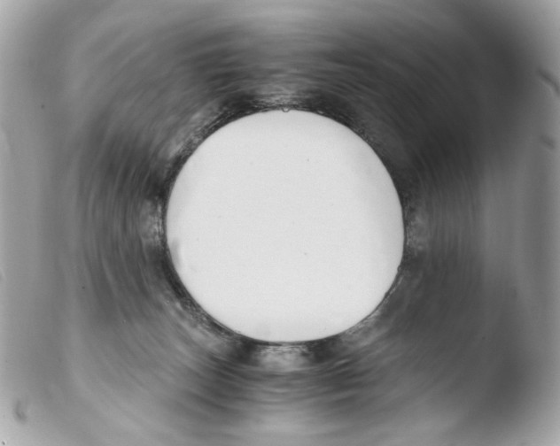 X0000103480179200810101008