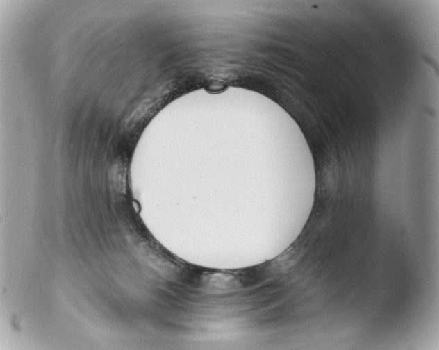 X0000103480180200810101008