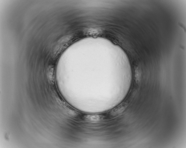 X0000103480181200810101008