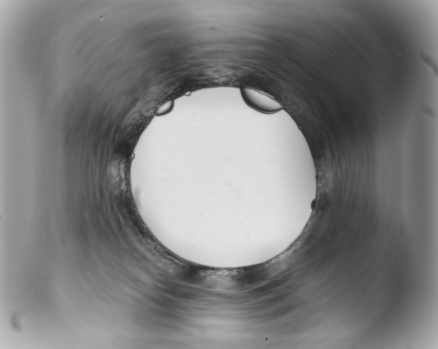 X0000103480182200810101008