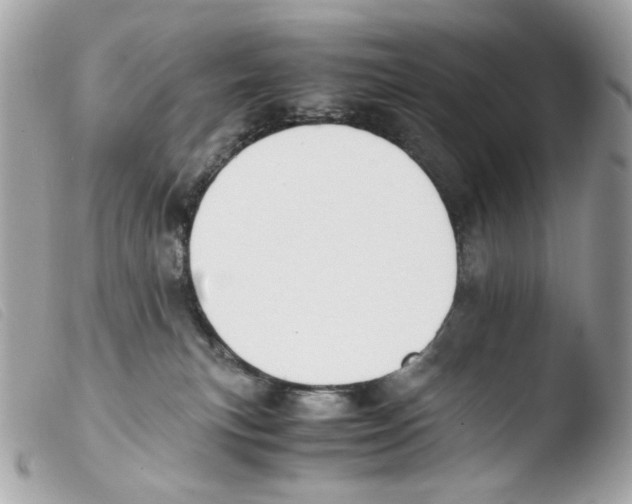 X0000103480183200810101008