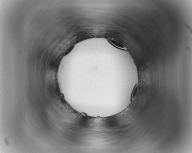 X0000103480184200810101008