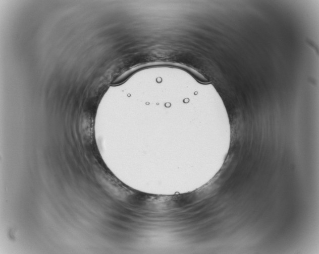 X0000103480186200810101008