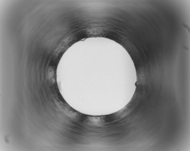 X0000103480187200810101008