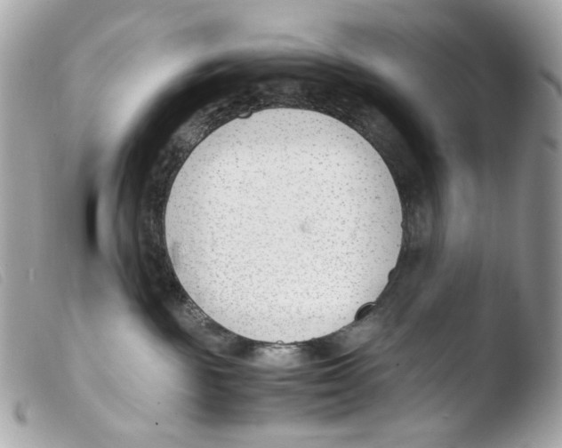 X0000103480189200810101008