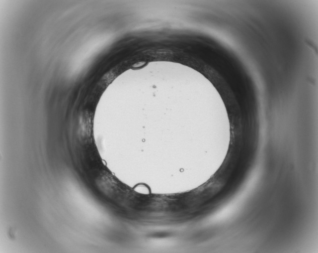 X0000103480190200810101008