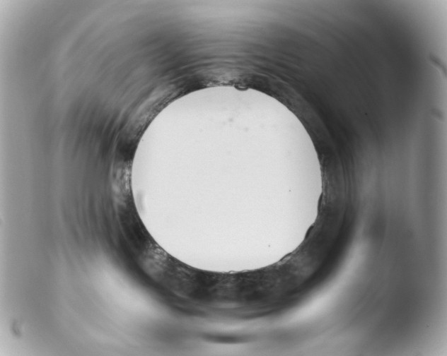 X0000103480191200810101008