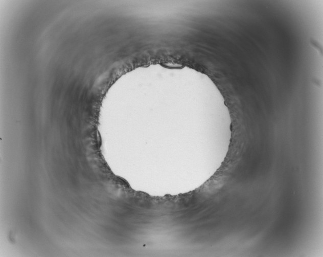 X0000103480192200810101008