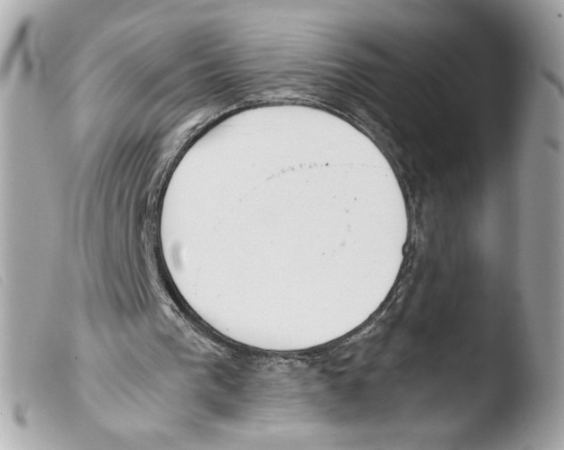 X0000103480193200810101007