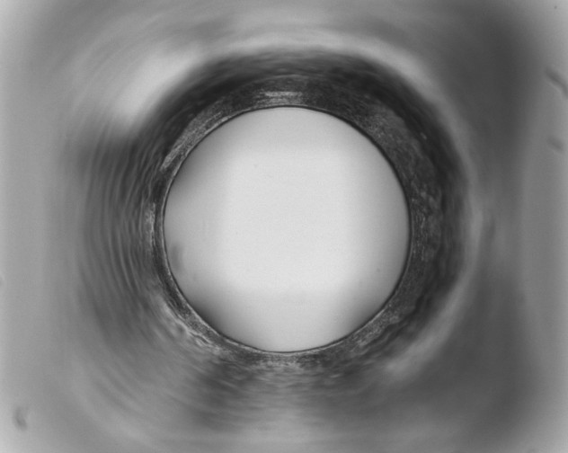 X0000103480194200810101007