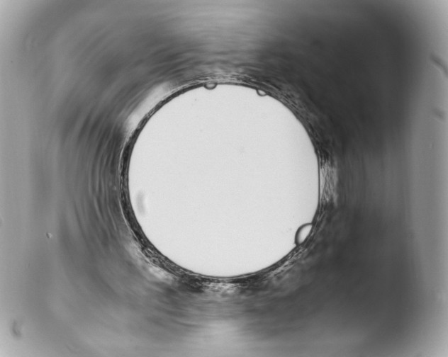 X0000103480195200810101007