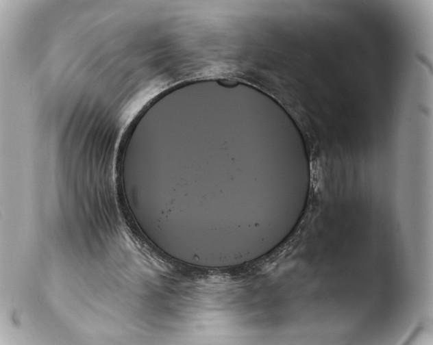 X0000103480196200810101007
