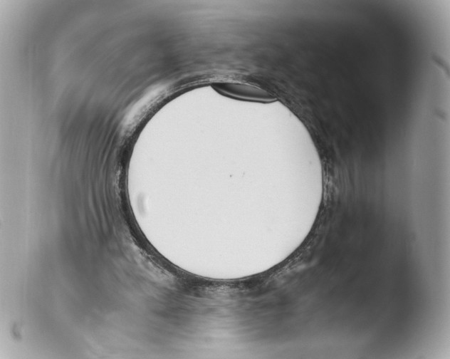 X0000103480197200810101007