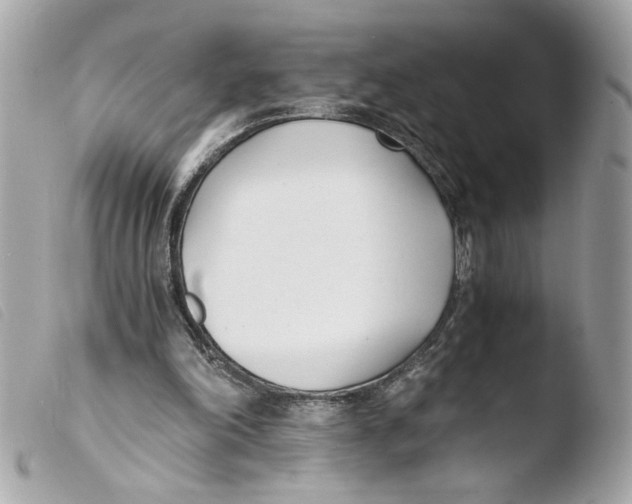 X0000103480198200810101007