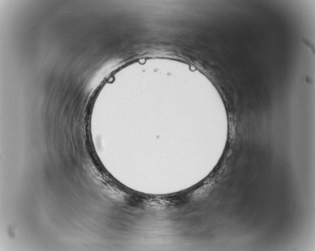 X0000103480199200810101007