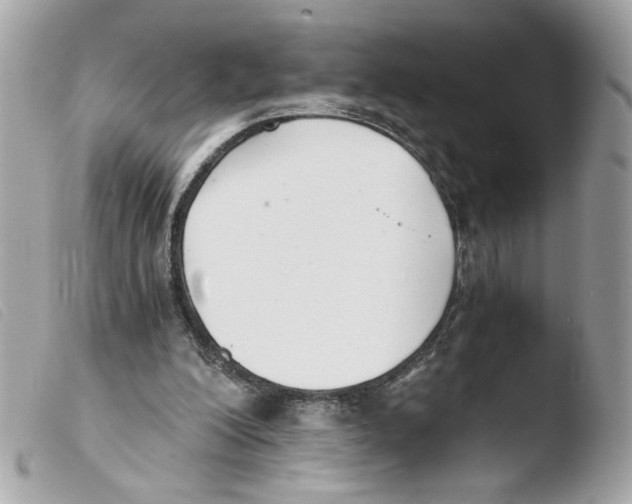 X0000103480200200810101007