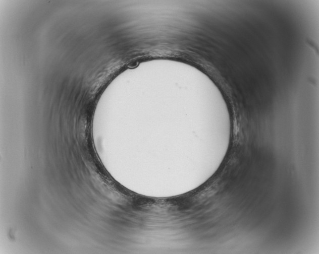 X0000103480201200810101007