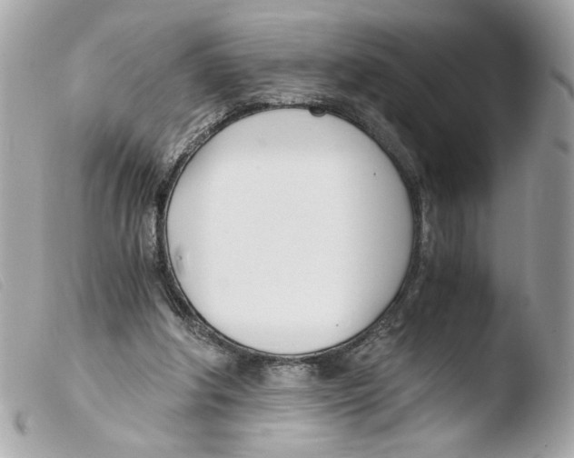 X0000103480202200810101007