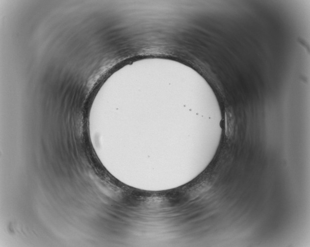 X0000103480204200810101007