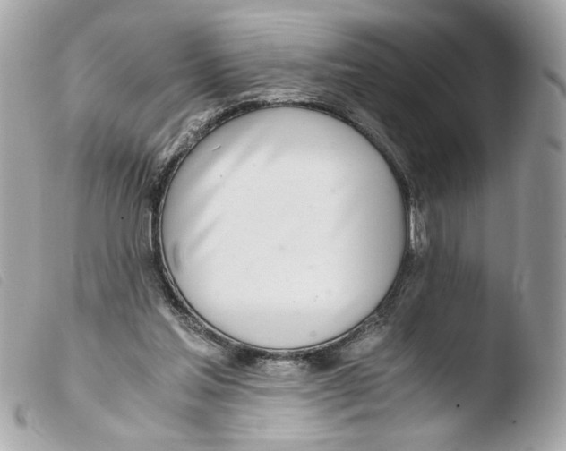 X0000103480205200810101007