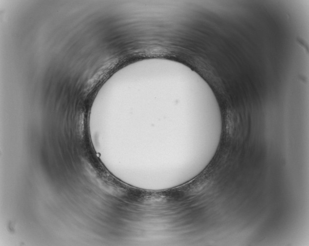 X0000103480206200810101007