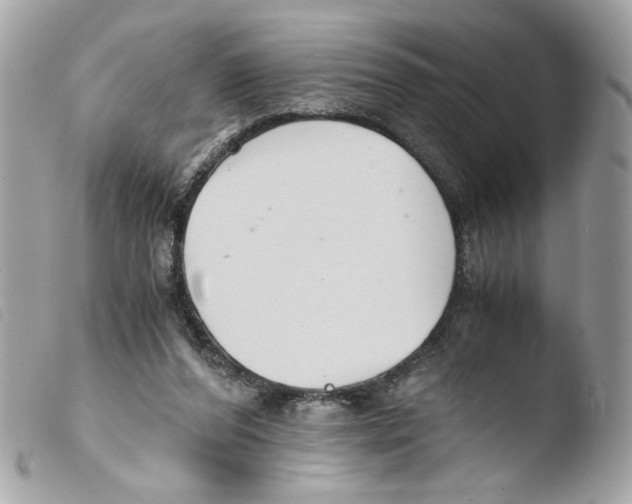 X0000103480208200810101007