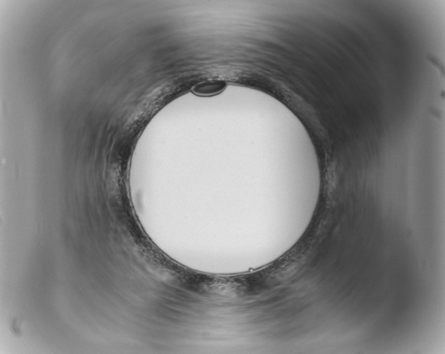 X0000103480209200810101007
