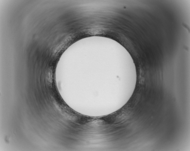 X0000103480210200810101007