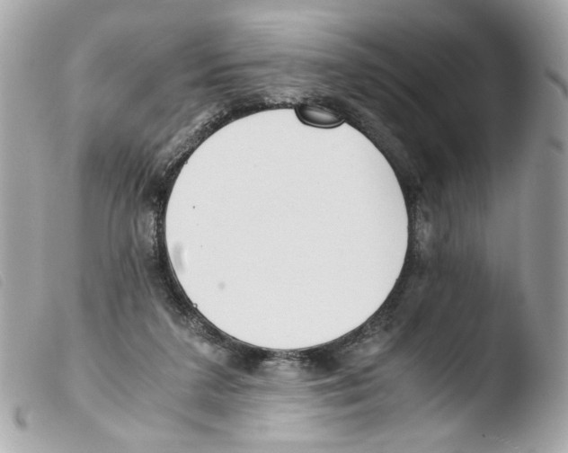 X0000103480211200810101007
