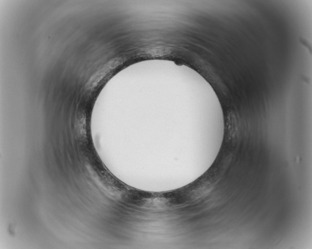 X0000103480212200810101007