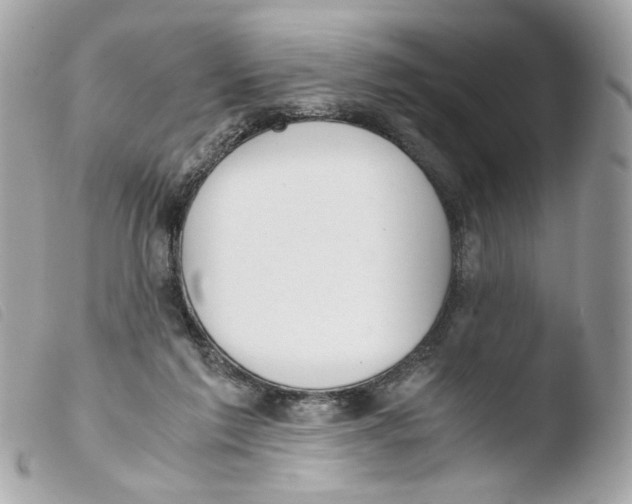 X0000103480213200810101007